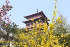 赤山禅院