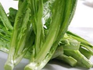 油麦菜