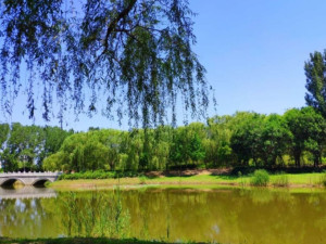 湿地公园