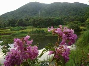云台云台寺原址