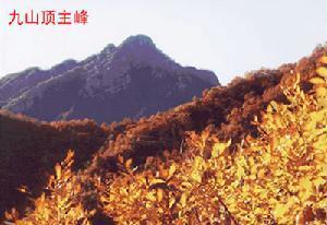 九山顶