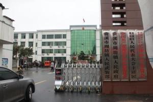 镇政府