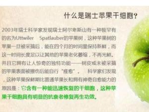 苹果干细胞
