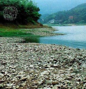 上林湖越窑青瓷遗址