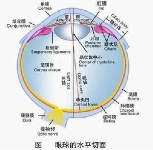 眼压高