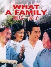 瞧这一家子