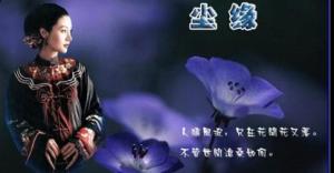 尘缘