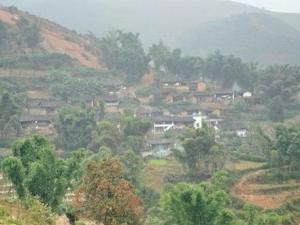 李家园村