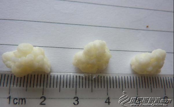 开菲尔菌种