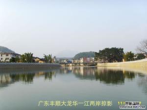 大龙华镇一江两岸掠影