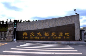 怀化职业技术学院