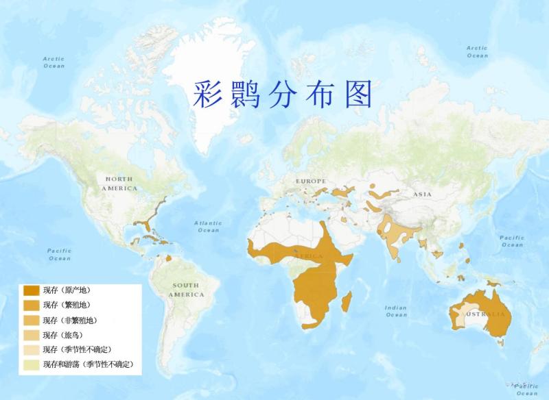 彩鹮分布图
