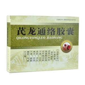 芪龙通络胶囊