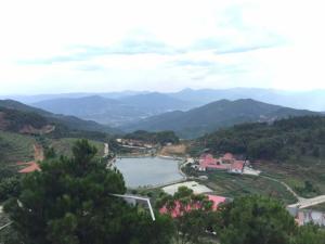 观山村黄旗尖生态氧生大庄园