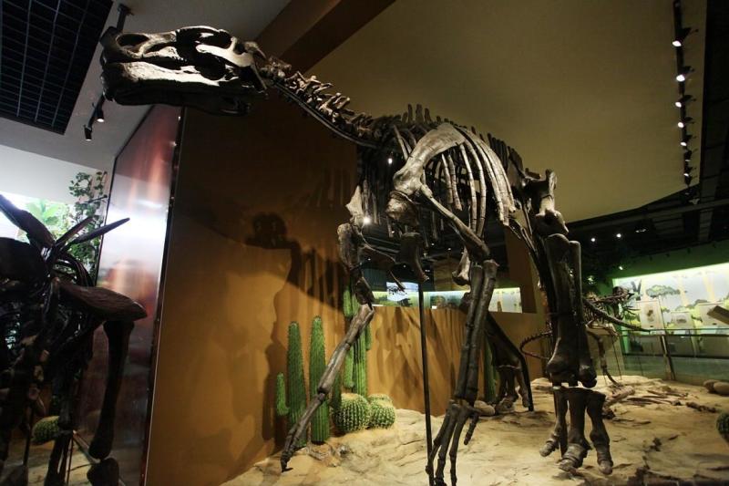 世界保持最完整的双庙龙