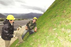 拉林高等级公路