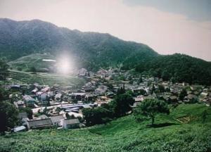 梅家坞
