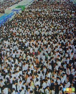 职商与求职