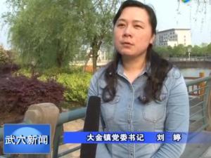 大金镇党委书记刘婷