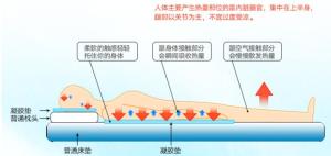 凝胶冰垫人机关系示意图