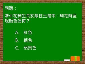 模拟选择题画面