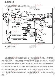 新陈代谢--解析图