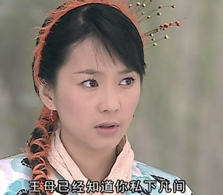 聊斋志异之婴宁