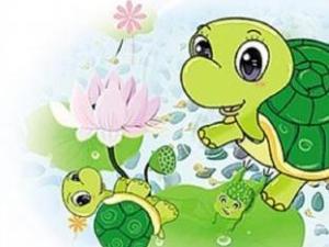 聪明的乌龟