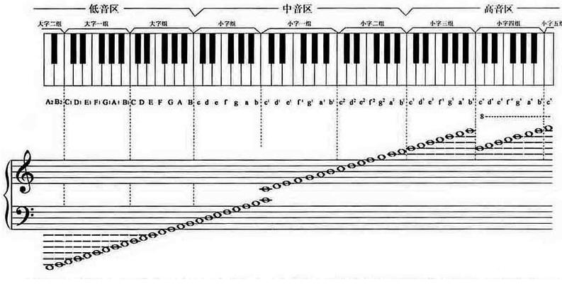 低音谱表音名图片