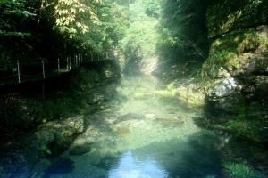 大山村自然风光