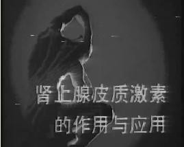 肾上腺激素