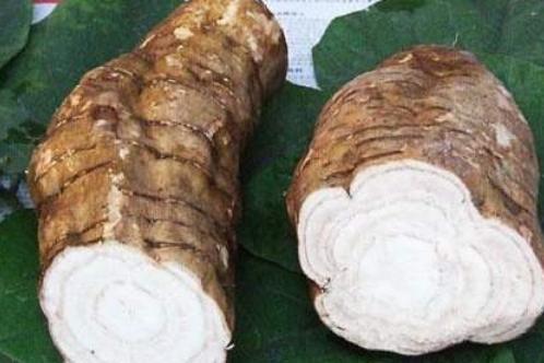 葛根 豆科葛属植物 搜狗百科