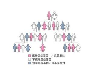 遗传 漫画