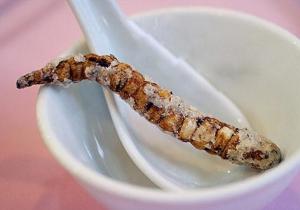 虫草参