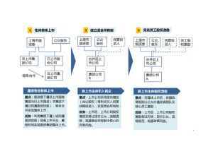 混合所有制改革
