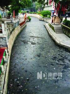 2013年5月22日,被网友讥为&quot;芝麻糊&quot;的荔枝湾