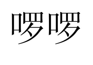啰啰,拼音luō luō,汉语词语,啰嗦,废话或胡说等.