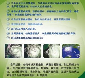 如何预防台风破坏