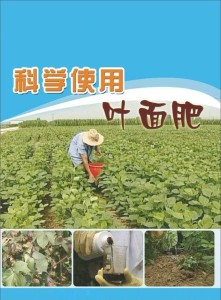 叶面肥