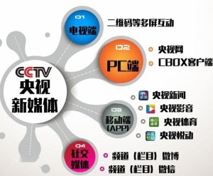 央视新媒体