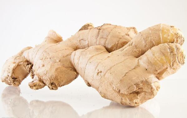 干姜 姜科植物 搜狗百科