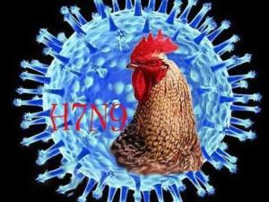H7N9
