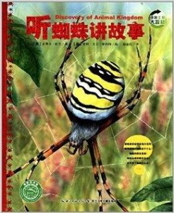 探秘梦境迷宫，求大神解梦关于黑蜘蛛的深层寓意