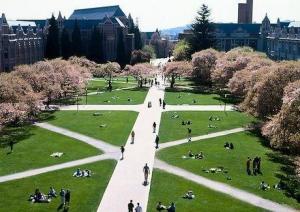 华盛顿大学Quad