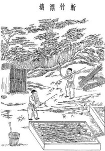 造纸