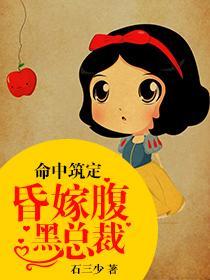Novel
