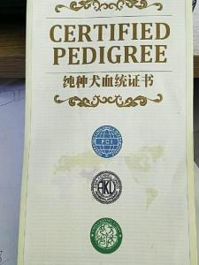 血统证书