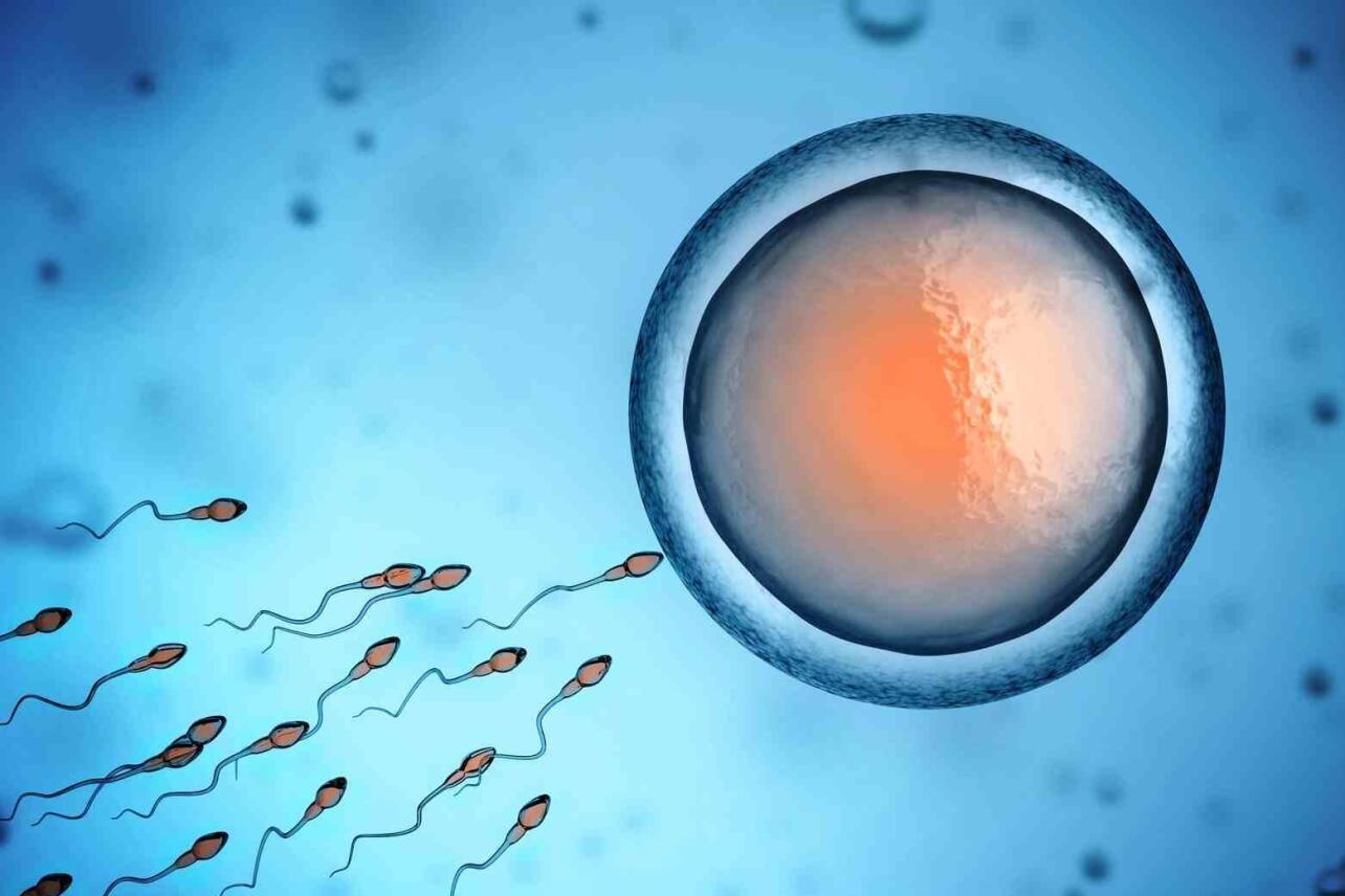 无精症 搜狗百科