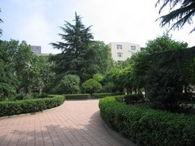 学校风光(3)