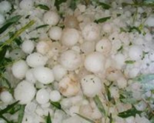 冰雹灾